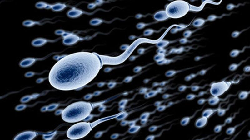 Sperm Alınması İçin Dizayn Edilen, Tasarımına Bıyık Altından Güleceğiniz Robot