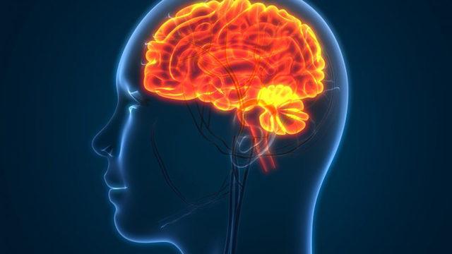 Alzheimer’ın Tedavisini Mümkün Kılabilecek Bir Keşif Yapıldı