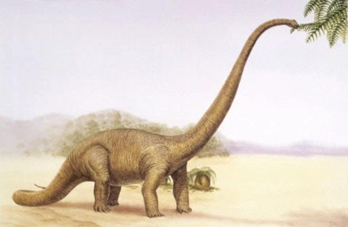 2 Metre Boyunda, 500 Kiloluk Dev Bir Dinozor Kemiği Bulundu