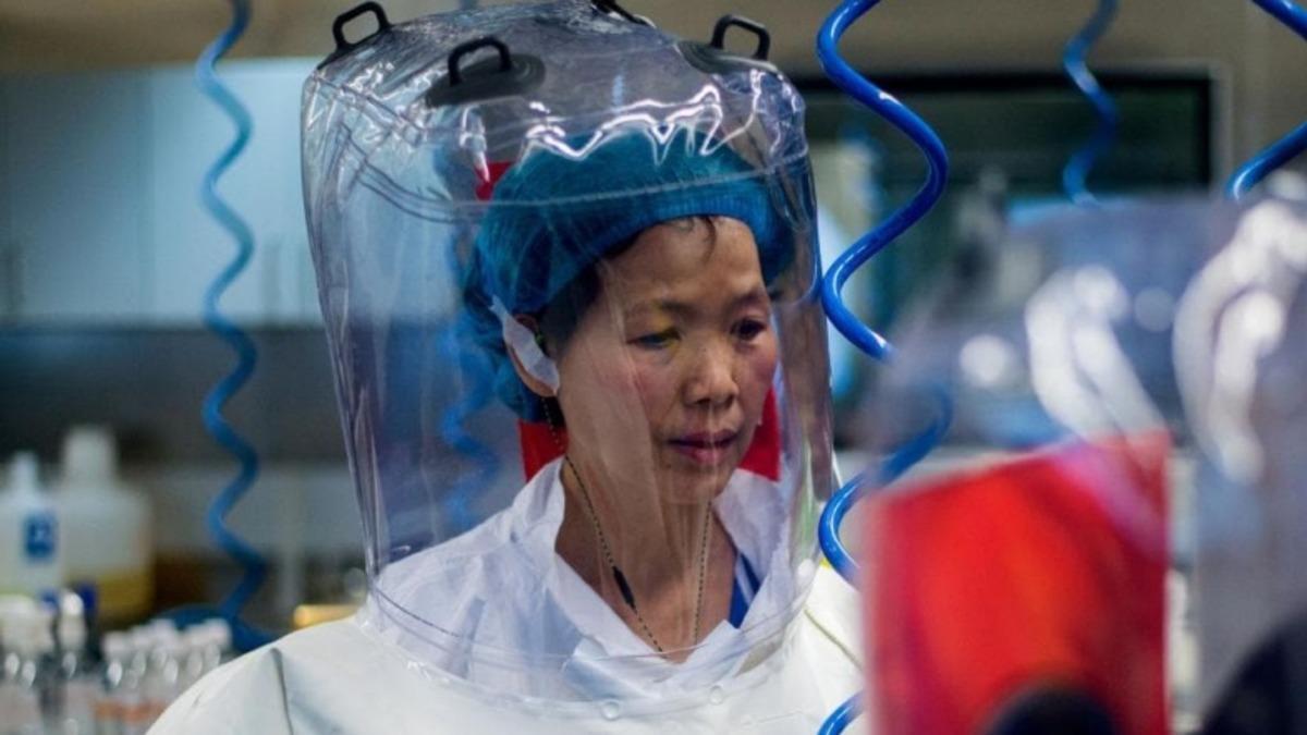 Yarasa Kadın Lakaplı Virolog, Yeni Koronavirüs Salgını İçin 2018’de Uyarıda Bulunmuş