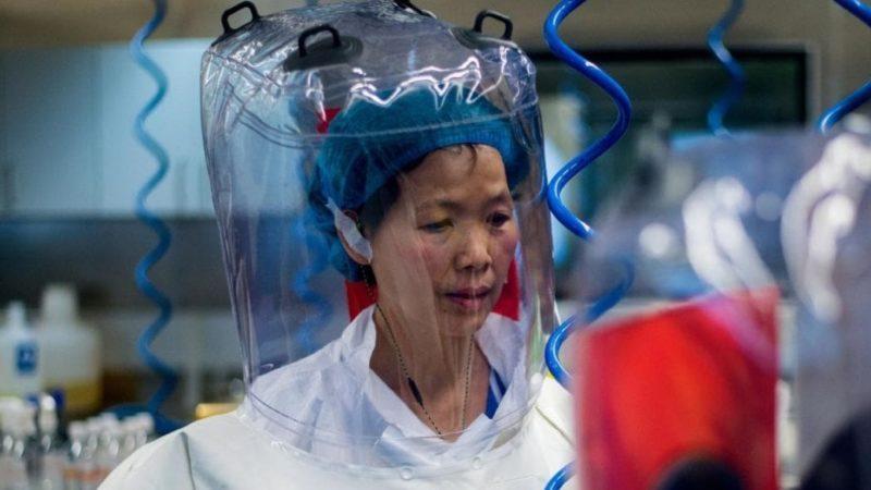 Yarasa Kadın Lakaplı Virolog, Yeni Koronavirüs Salgını İçin 2018’de Uyarıda Bulunmuş