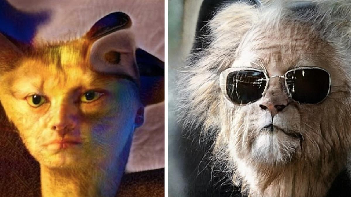 İnsan ile Hayvan Yüzleri Arasında Dönüşüm Yapabilen Yapay Zeka