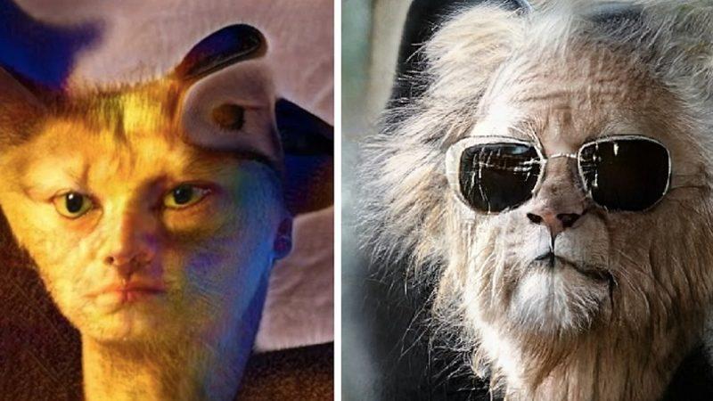 İnsan ile Hayvan Yüzleri Arasında Dönüşüm Yapabilen Yapay Zeka