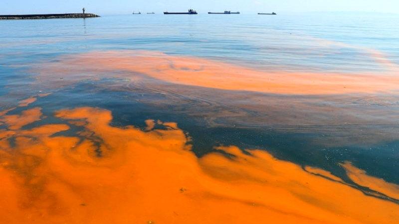 Marmara Denizi’ni Kızıla Döndüren Olay: Alg Patlaması