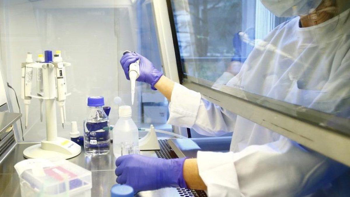 Harvard Üniversitesi’nden Koronavirüs İçin İkinci Dalga Uyarısı