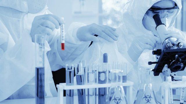 Harvard Üniversitesi’nden Koronavirüs İçin İkinci Dalga Uyarısı