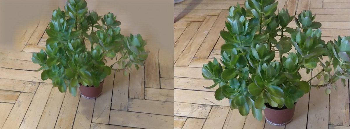 Belli Bir Bakış Açısından Sahneler Oluşturabilen Yapay Zeka Üretildi