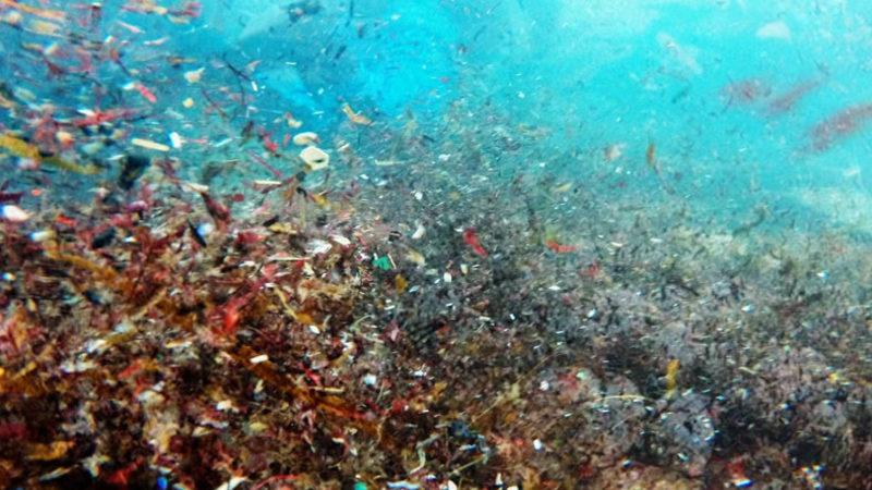 Araştırmacılar, Deniz Tabanında Görülmüş En Büyük Mikroplastik Yığınını Keşfetti