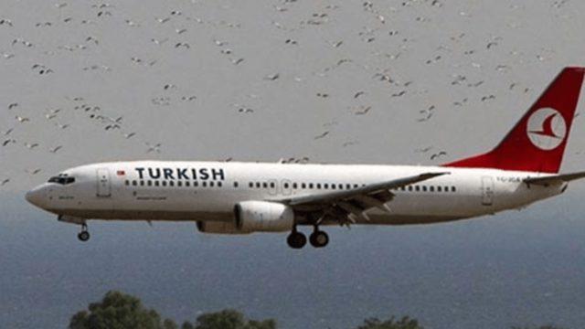 Kuş Sürüsüne Dalan THY Uçağı Seferlerden Çekildi