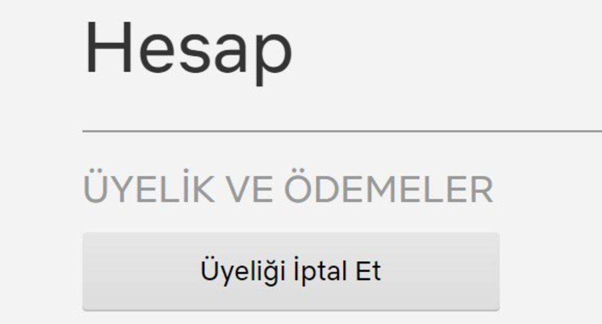 Netflix Üyeliği Nasıl İptal Edilir, Hesap Nasıl Silinir?