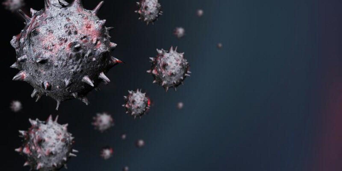 Brezilya Devlet Başkanı’nın Oğlu, Koronavirüs Yorumu Nedeniyle Twitch’ten Banlandı