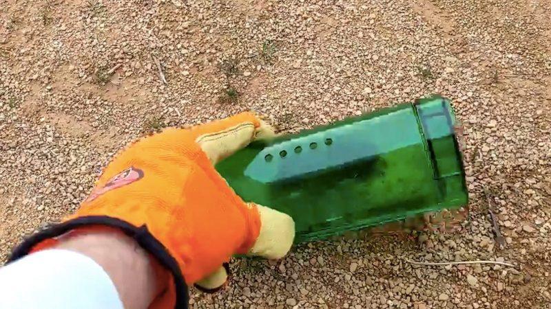 Bir Adamın Evinde Yakalayıp Dışarı Saldığı Fare, Vahşi Doğanın Gazabına Uğradı (Video)