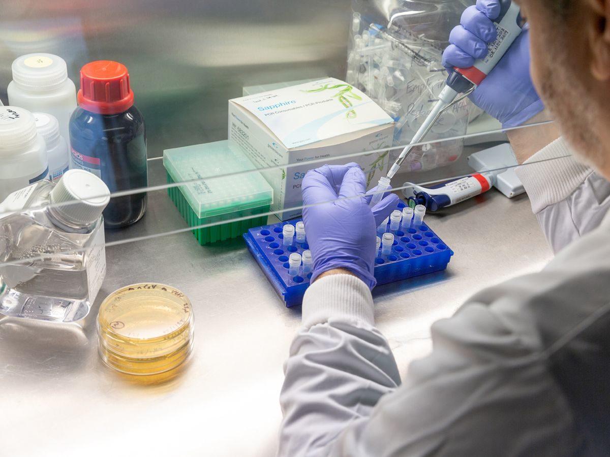 Ülkeler, Koronavirüs Aşı Çalışmaları İçin 7,4 Milyar Euro Taahhütte Bulundu