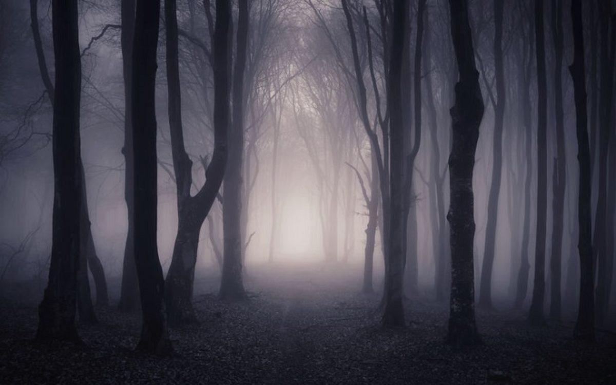 Yeni Bir Araştırma, Kabuslarla Bir Kişilik Özelliği Arasında Bağlantı Olduğunu Ortaya Çıkardı