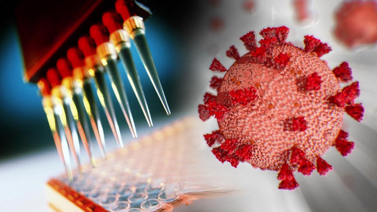 Elisa Testi Nedir? Belirti Göstermeyen Koronavirüs Vakaları Nasıl Tespit Edilecek?