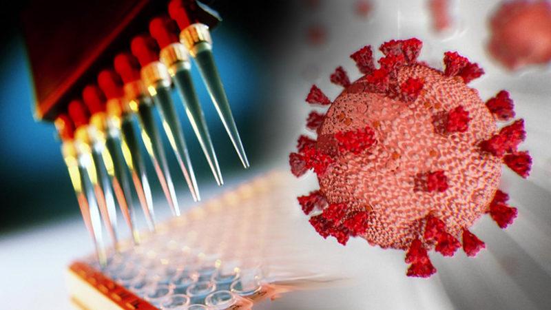 Elisa Testi Nedir? Belirti Göstermeyen Koronavirüs Vakaları Nasıl Tespit Edilecek?