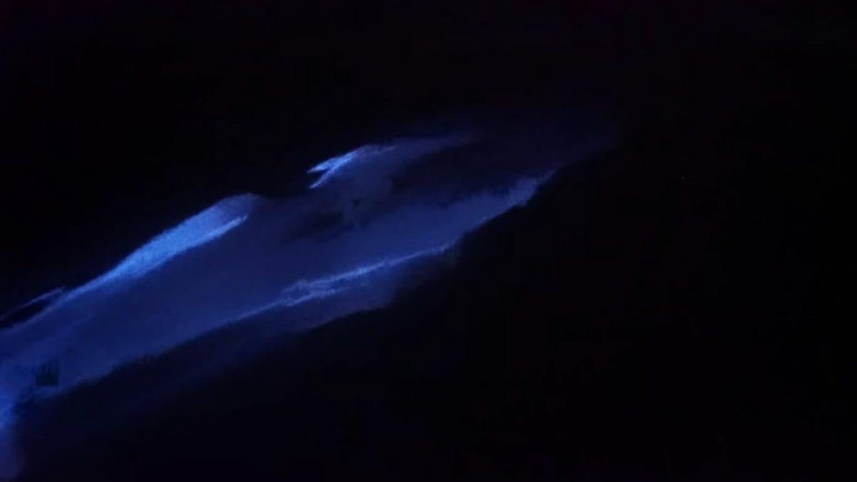 Işıldayan Okyanusta Yunusların Ortaya Çıkardığı Olağanüstü Görüntüler (Video)