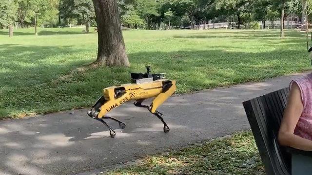 Singapur’dan Robot Köpekli Sosyal Mesafe Uyarısı (Video)