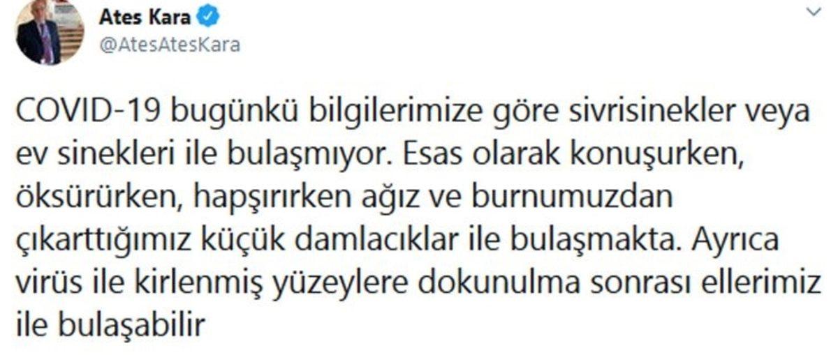 Bilim Kurulu Üyesi, Sivrisineklerin COVID-19 Bulaştırma İhtimaliyle İlgili Açıklama Yaptı
