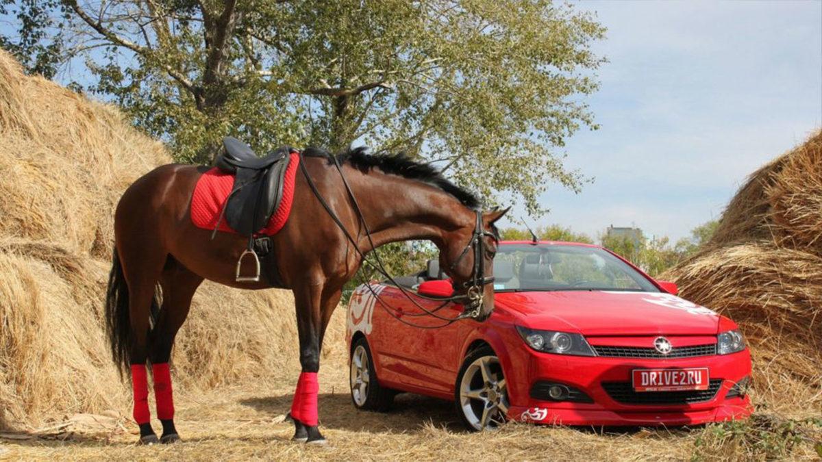 Tork Nedir, Beygir Gücünden Ne Farkı Var?