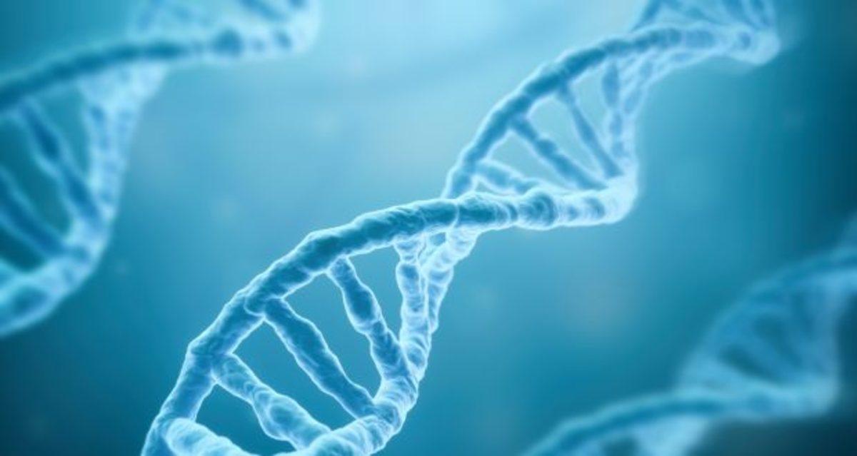 Bir Bilim İnsanı, Yaşlanmayı Tam Tersine Çeviren Bir Yöntem Geliştirdi