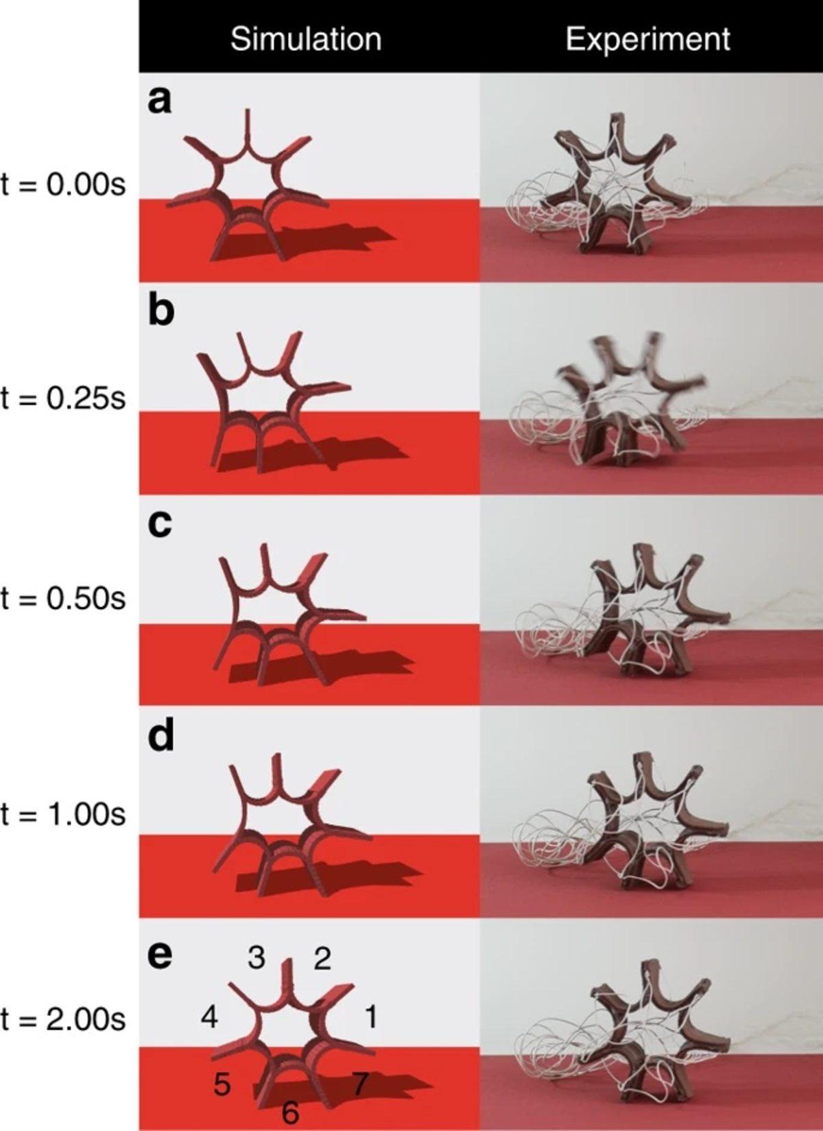 Yumuşak Robotların Hareketlerini Tahmin Eden Gerçek Zamanlı Fizik Motoru Geliştirildi