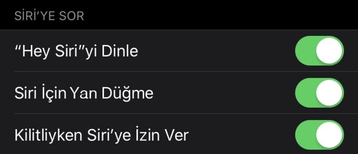 ’Home’ Tuşu Kaldırılan Apple Modellerinde Siri Nasıl Kullanılır?