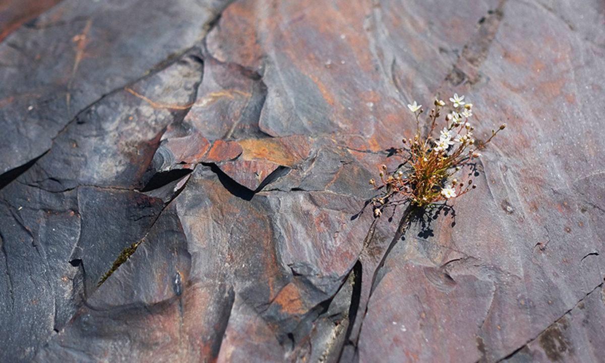 Dünyadaki Oksijen Seviyesinin 2 Milyar Yıl Önce Bilinenden Daha Yüksek Olduğu Keşfedildi