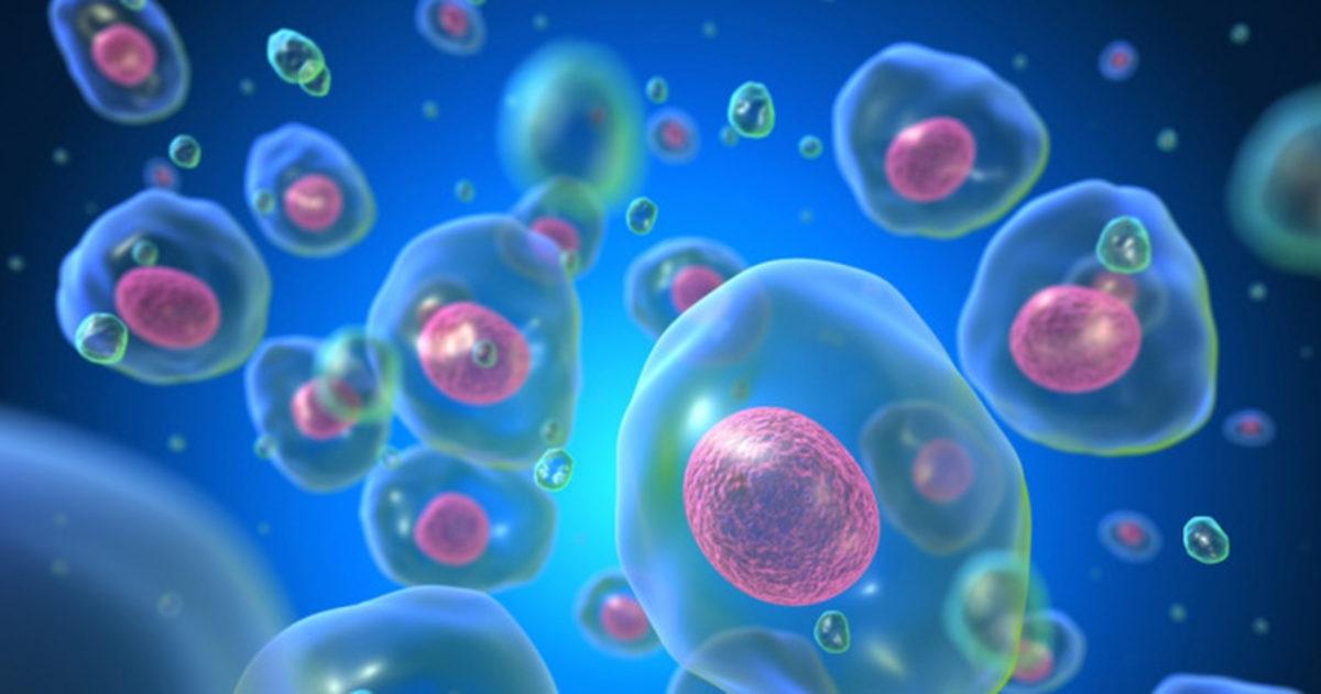 Dünyadaki Oksijen Seviyesinin 2 Milyar Yıl Önce Bilinenden Daha Yüksek Olduğu Keşfedildi