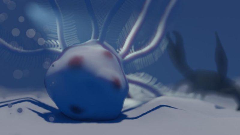 Araştırmacılar, 80 Milyon Yıllık Top Benzeri Tuhaf Fosiller Keşfettiler