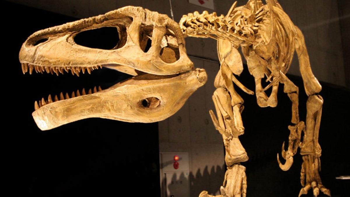 70 Milyon Yıl Önce Yaşadığı Düşünülen 10 Metrelik Dinozor Fosili Bulundu