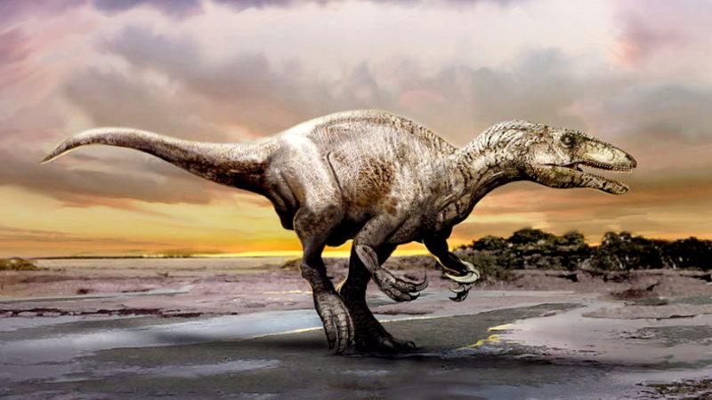 70 Milyon Yıl Önce Yaşadığı Düşünülen 10 Metrelik Dinozor Fosili Bulundu