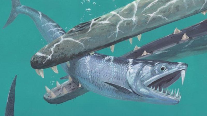 Bilim İnsanları, Hamsinin Devasa Boyuttaki Tarih Öncesi Atasını Keşfettiler