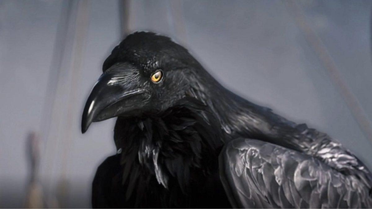 Assassin’s Creed Valhalla’da Viking Topraklarını Kuzgun Synin İle Keşfedeceğiz