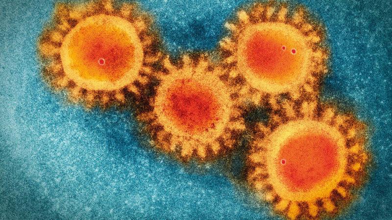 Bilim İnsanları, Koronavirüsü Yenmek İçin Yeni Bir Yöntem Keşfetti