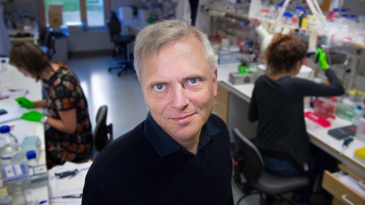 Derimizin Altında Acıyı Hissetmemizi Sağlayan Yeni Bir Organ Keşfedildi