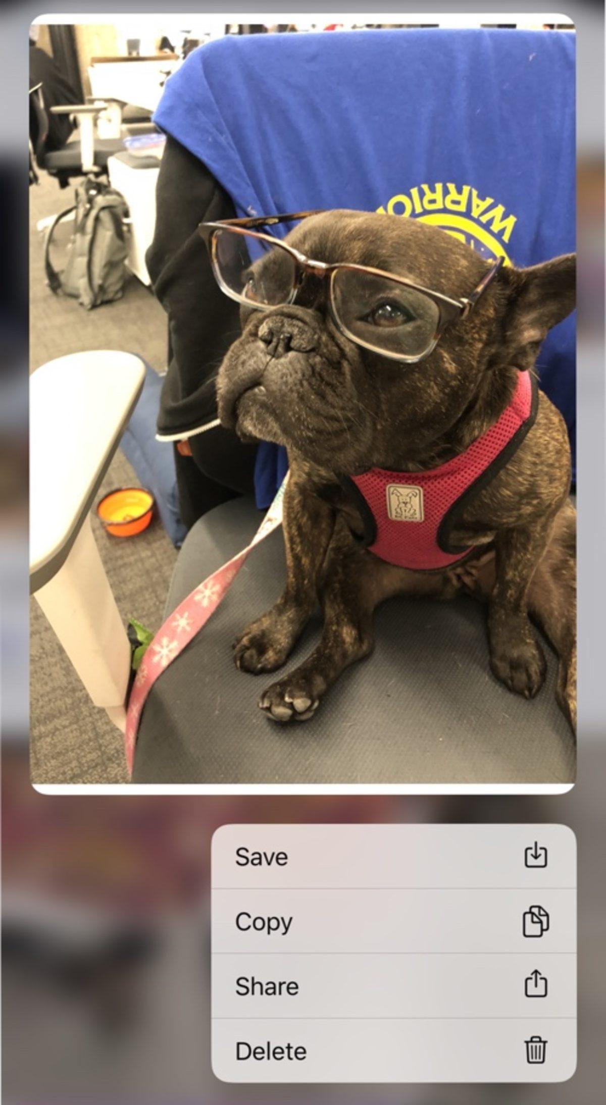 iOS 13’ün 7. Geliştirici Betası Yayınlandı: İşte Tüm Yenilikler