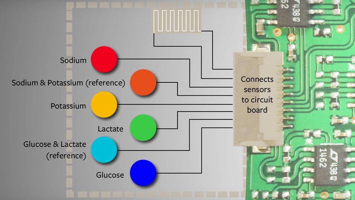 İnsan Terini Analiz Edecek Yeni Bir Sensör Geliştirildi