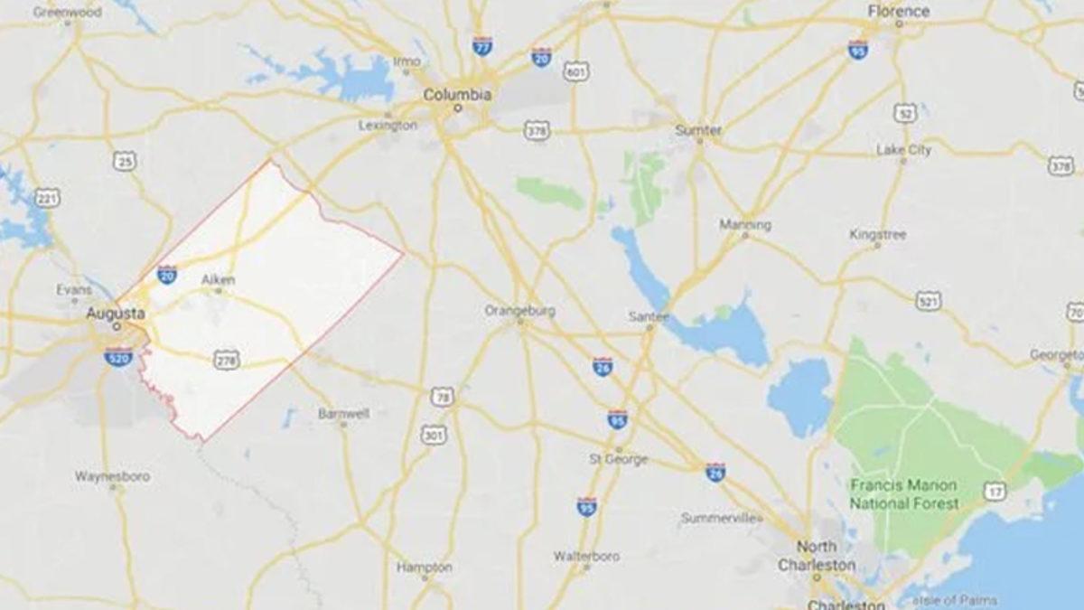 İğne Benzeri Dişlere Sahip Bir Köpek Balığı Türü, Fosil Kalıntılarla Keşfedildi