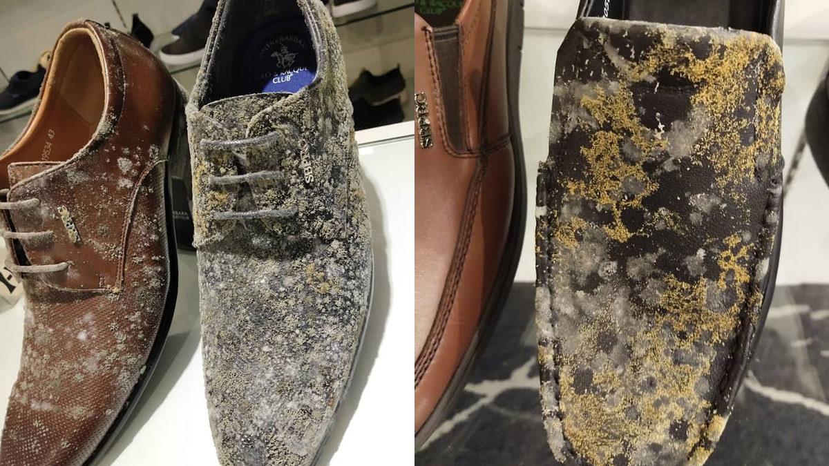 Haftalarca Kapalı Kalan Bir AVM’de Neler Olabileceğini Kanıtlayan Fotoğraflar