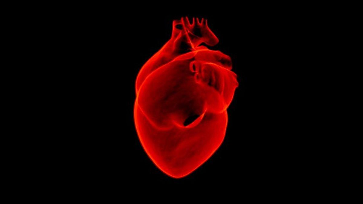 5 Yıl İçerisinde Domuzdan İnsana Kalp Nakli Yapılabilecek