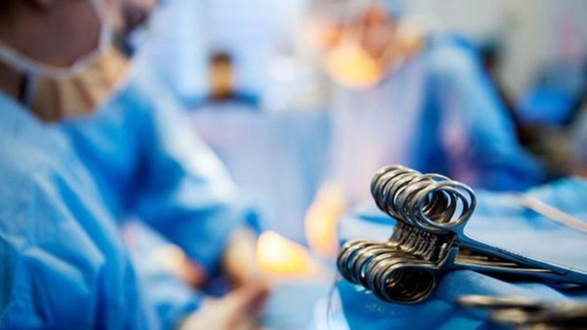 5 Yıl İçerisinde Domuzdan İnsana Kalp Nakli Yapılabilecek