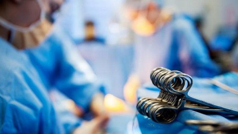 5 Yıl İçerisinde Domuzdan İnsana Kalp Nakli Yapılabilecek