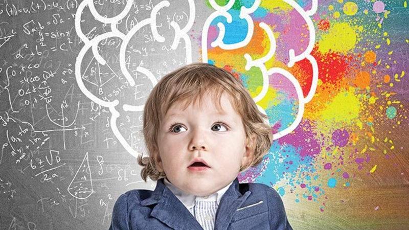 Florürün Çocukların IQ Seviyesine Etkilerini Gösteren Araştırma