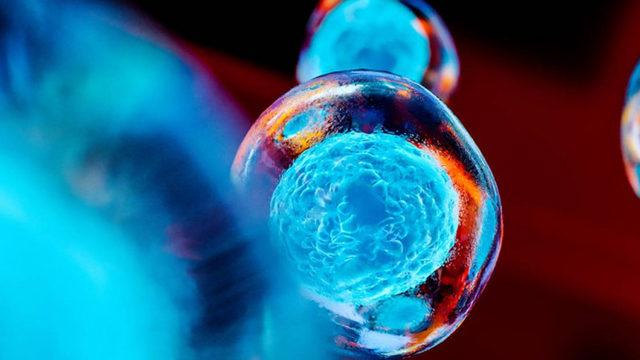 Kalp Hastalığı İçin Dünyada İlk Kez Kök Hücre Tedavisi Uygulandı