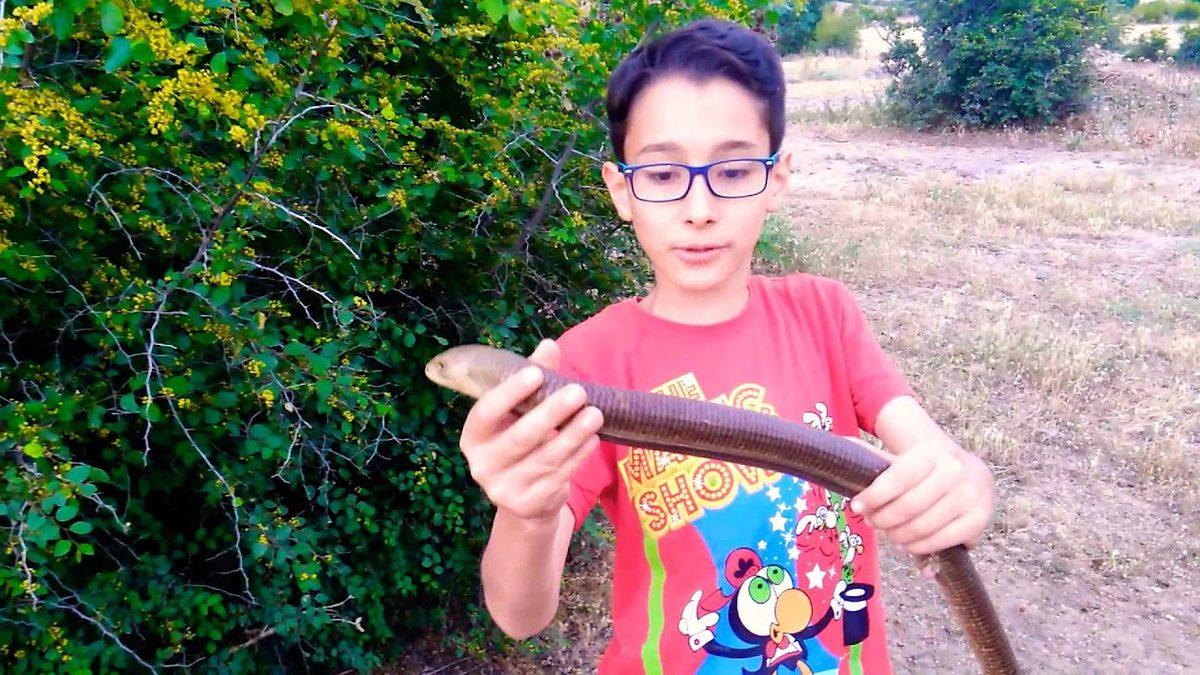 279 Takipçili Küçük Türk YouTuber’ın Bir Günde Kazandığı Muazzam Takipçi Sayısı