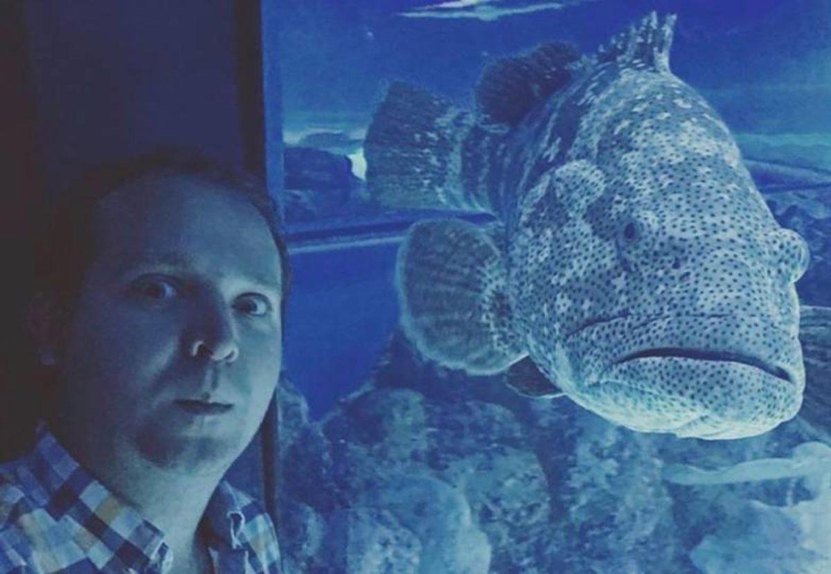 Akvaryum Balıkları İnsanları Özlemeye Başladı