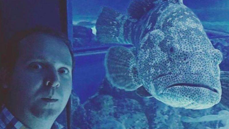 Akvaryum Balıkları İnsanları Özlemeye Başladı