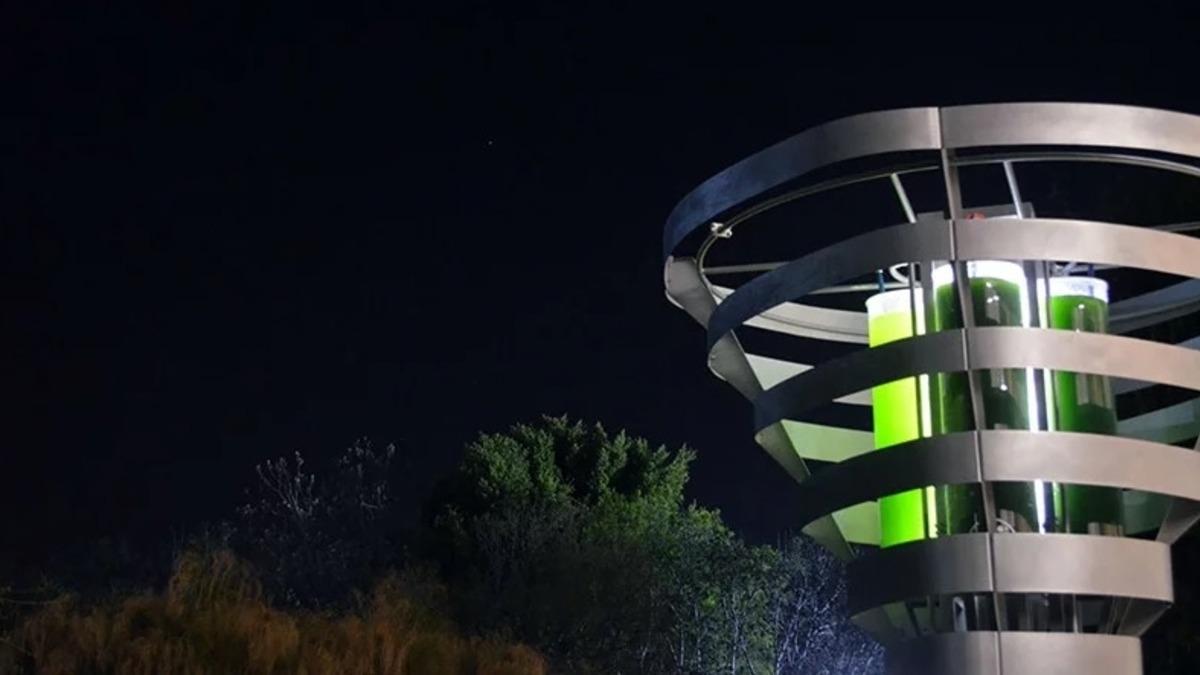 Hava Kirliliğine Karşı Bulunan Efsane Çözüm: Robotik Ağaçlar