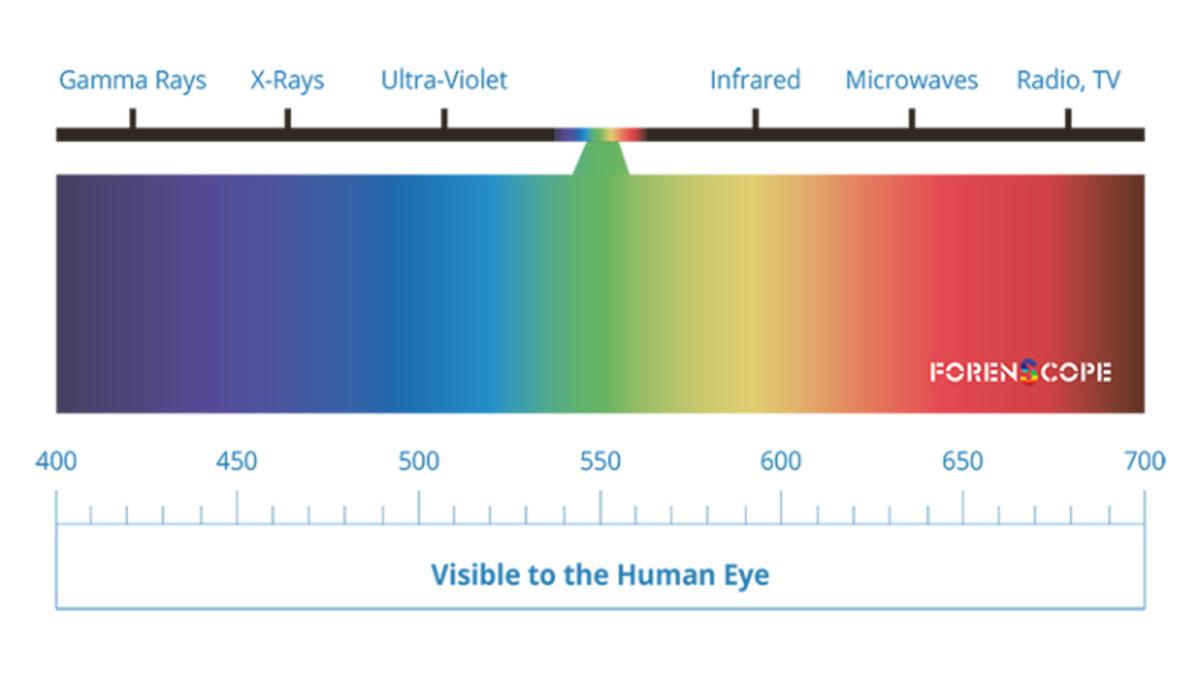 Ölü Deniz Parşömenleri’nin Üzerinde Gizli Harfler Bulundu